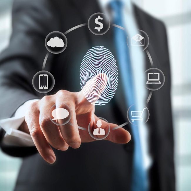 Servicios Profesionales