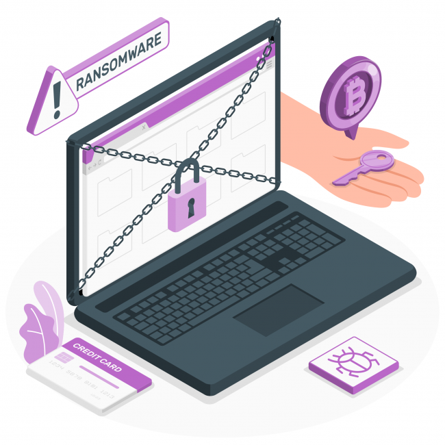 Objetivos de un ataque de ransomware (Freepik).